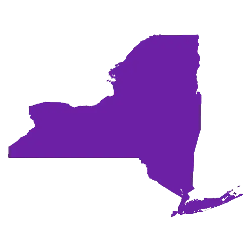 New York State Purple Map